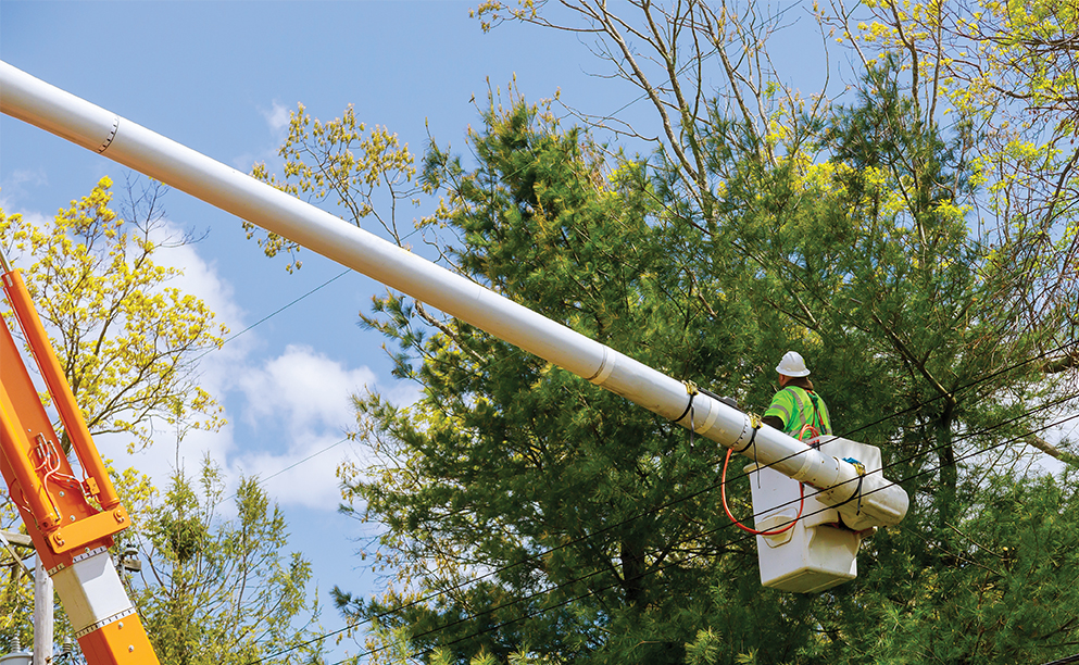 photo for Let’s Get Storm Ready Together